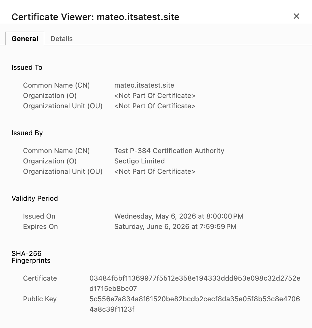 Browser certificate viewer for mateo.itsatest.site showing the Test P-384 Certification Authority